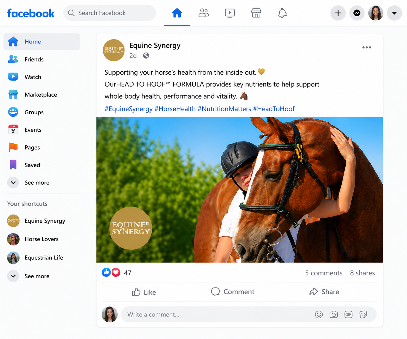 EQUINE SYNERGY - for a healthy horse from head to hoof